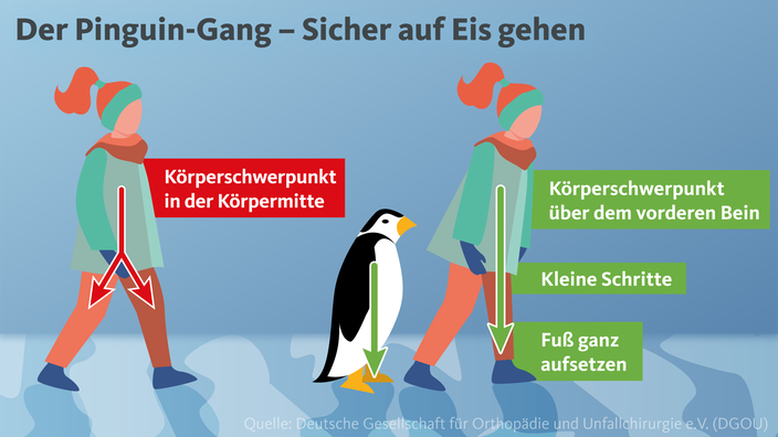 Der Pinguin Gang- Sicher auf Eis gehen