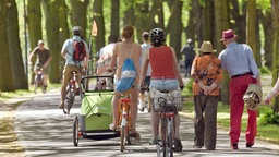 Fahrradfahrer und Spaziergänger auf einem Weg im Park
