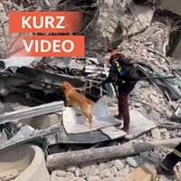 Schweres Erdbeben in Thailand und Myanmar - Aufräumarbeiten Bangkok, 29.03.25