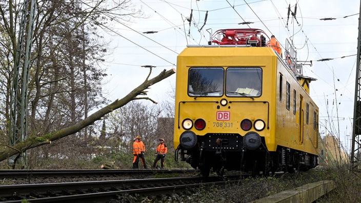 Mitarbeiter der Deutschen Bahn beseitigen einen Baum, der bei Grevenbroich auf die Strecke gefallen ist