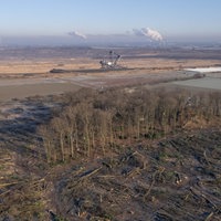 Nur noch ein kleiner Rest des Sündenwäldchens steht nach dem Beginn der Rodung durch RWE Power am Rande des Tagebaus Hambach. 