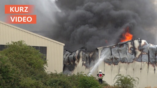 Wieder Brand auf Wertstoffhof in Swisttal | Kurzvideo  | TN