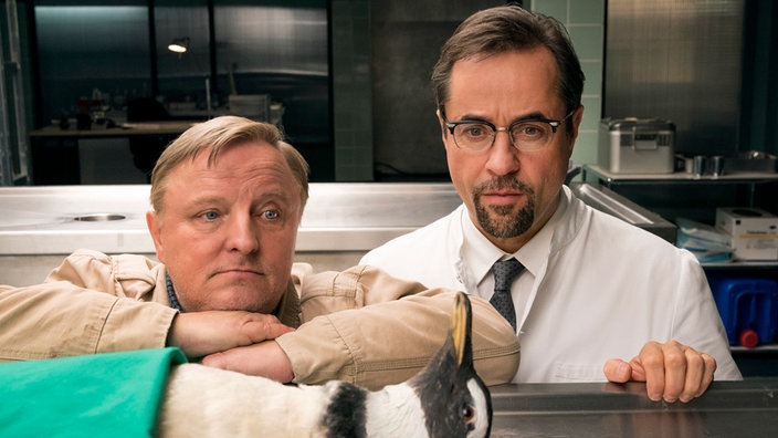  Ein Pinguin in der Rechtsmedizin bei Kommissar Frank Thiel (Axel Prahl, l) und Prof. Boerne (Jan Josef Liefers) in einer Szene des "Tatort: Schlangengrube".