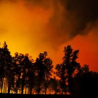 Archivbild von 2020: Ein Waldstück bei Empt brennt in der Nacht.