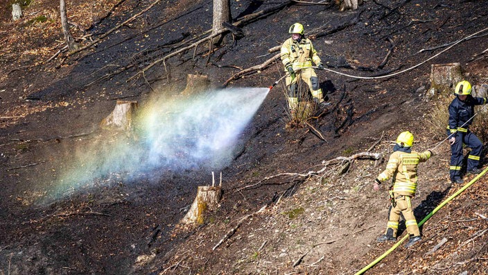 Feuerwehr löscht Waldbrände im Sauerland 