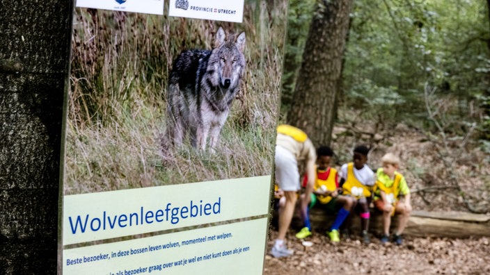 Wolf-Warnschild in Austerlitz bei Utrecht