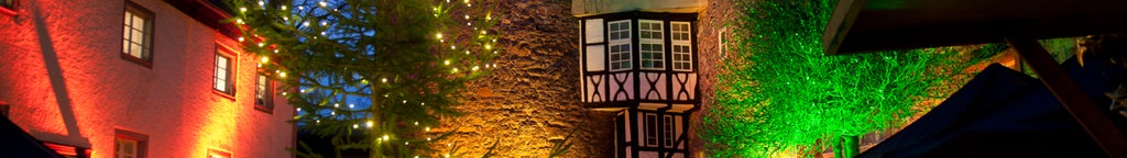 Weihnachtsmarkt am  Schloss 