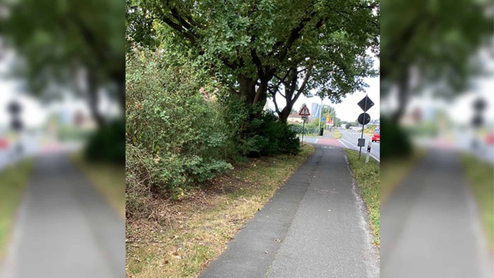 Die Straße "An der Talle" in Paderborn