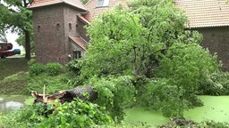 Nach Starkregen an Fronleichnam ruhigeres Wetter
