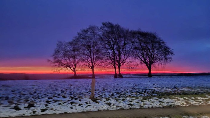 Rot gefärbter Himmel und einsame, eingeschneite Baum
