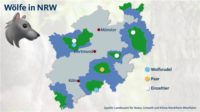 Wölfe in NRW