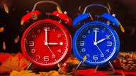 Ein roter und ein blauer Wecker umgeben von Herbstlaub