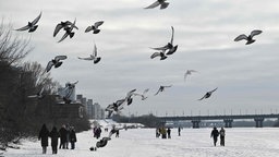 Menschen laufen über den zugefrohrenener Dnipro Fluss bei Kyiv