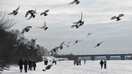 Menschen laufen über den zugefrohrenener Dnipro Fluss bei Kyiv