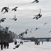 Menschen laufen über den zugefrohrenener Dnipro Fluss bei Kyiv