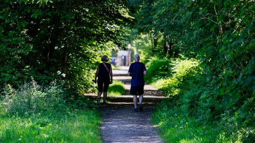 Wanderer gehen durch ein schattiges Waldstück