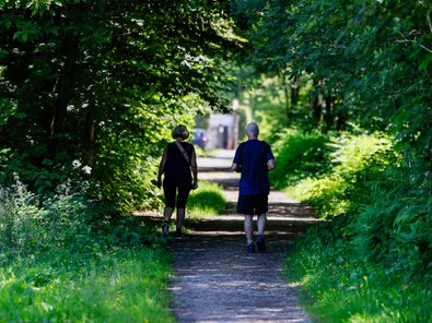 Wanderer gehen durch ein schattiges Waldstück