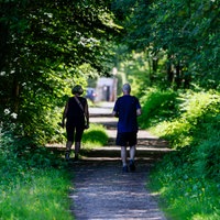 Wanderer gehen durch ein schattiges Waldstück
