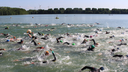 Schwimmer beim Indeland-Triathlon