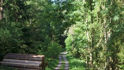 Der Rundwanderweg "Kaller Sagen" ist Wanderweg des Jahres 2026