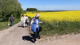 Mehrere Hunde mit ihren Besitzern bei einem Spaziergang in den Feldern