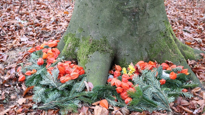Am Fuße eines Baumstammes liegen Tannenzweige und orangene Trockenblumen, um den Baum heraum liegt braunes Herbstlaub