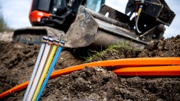 Glasfaser-Kabel ragen aus der Erde.