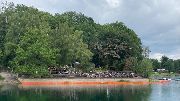 Bild der Zornigen Ameise von der Wasserseite aus gesehen