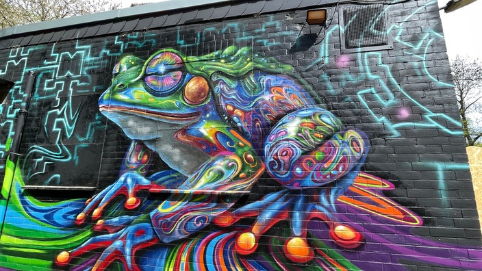Frosch Graffitti