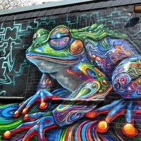 Frosch Graffitti