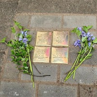 4 Stolpersteine mit Namen der Familie Daltrop