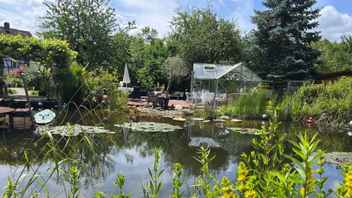 Hinter einem Gartenteich ist eine gepflasterte Terrasse mit Gartenstühlen, einem Sonnenschirm und Gewächshaus.