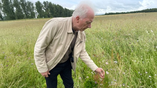 Ein Mann steht auf einer Blumenwiese