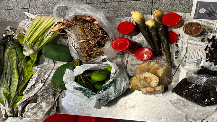 Der Zoll am Düsseldorfer Flughafen fand unter anderem Obst, Gemüse und Insekten.