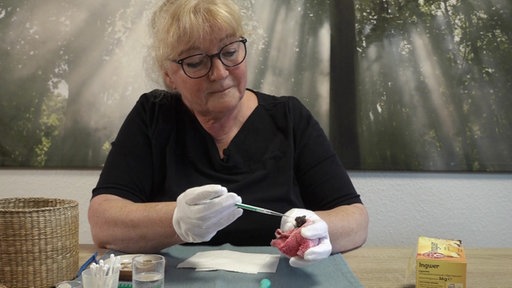 Eine Frau füttert eine Fledermaus in der Hand