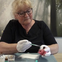 Eine Frau füttert eine Fledermaus in der Hand