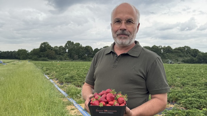 Landwirt Robert Bossmann in Monheim am Rhein auf einem Erdbeerfeld