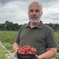 Landwirt Robert Bossmann in Monheim am Rhein auf einem Erdbeerfeld