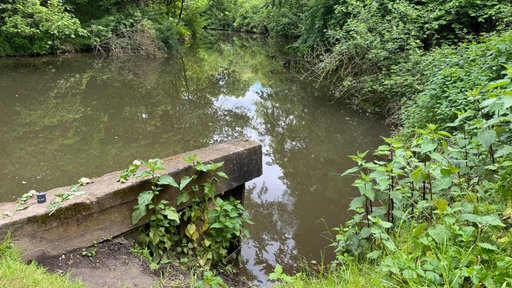 Eine kleine Mauer endet am Ufer in die Erft. Am Ufer wächst Gestrüpp. 