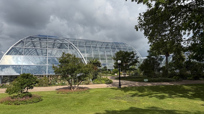 Gewächshaus in der Kölner Flora