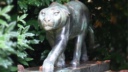 Zu sehen ist ein Bronze-Panther im Rodenkirchener Südpark.