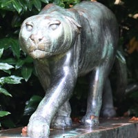 Zu sehen ist ein Bronze-Panther im Rodenkirchener Südpark.