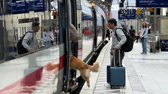 EIn ICE steht am Bahnsteig im Kölner Hauptbahnhof, ein Mann und ein Hund steigen gerade ein.