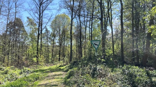 Waldstück und ein Schild mit der Aufschrift. "Naturschutzgebiet"