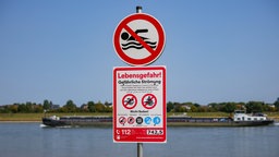 Schilder, die auf die Gefahren beim Schwimmen im Rhein hinweisen