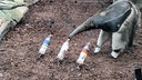 Ameisenbär Taio frisst die Würmer aus der mittleren Flasche, welche für unentschieden steht. Daneben sind links die Flasche für Curacao und rechts für Deutschland aufgestellt.