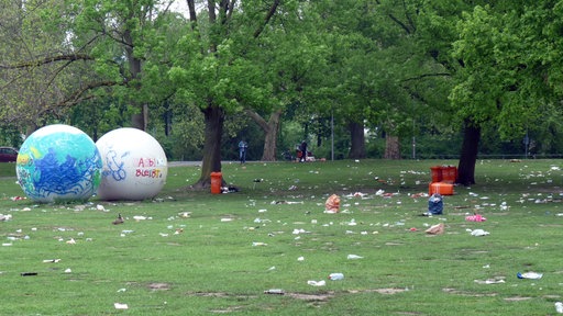 Die Aasee-Wiese in Münster ist vermüllt.
