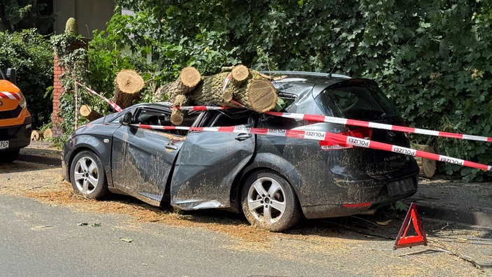 Der Stamm eines umgestürzten Baums drückt das Dach eines Autos ein.