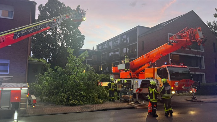Umgestürzter Baum wird von der Feuerwehr weggeräumt