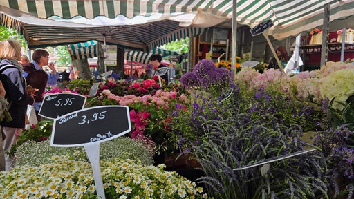 Stand mit Blumen auf einem Bauernmarkt. Verschiedene Blumen und Pflanzen.
